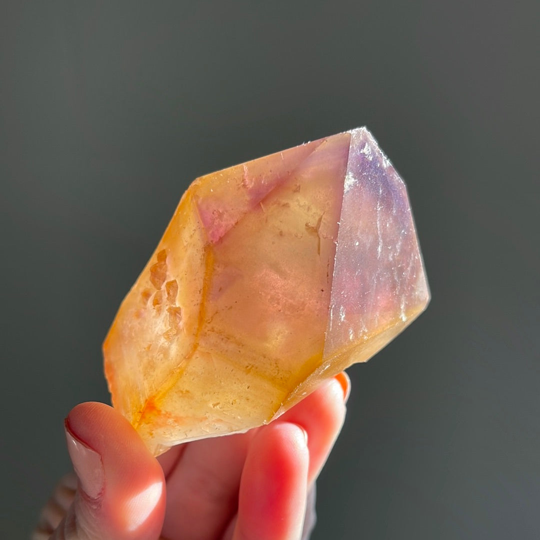 Dreamcoat Lemurian