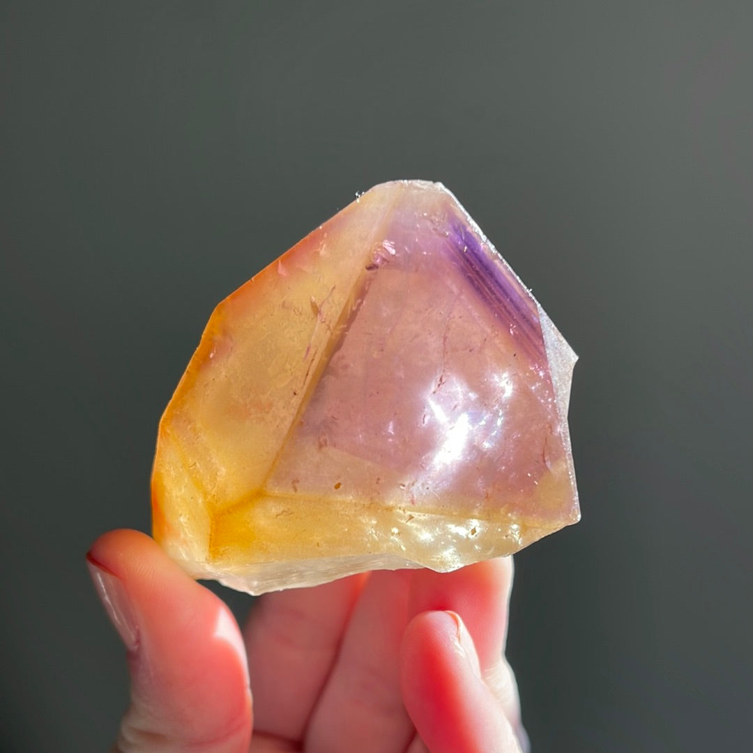 Dreamcoat Lemurian