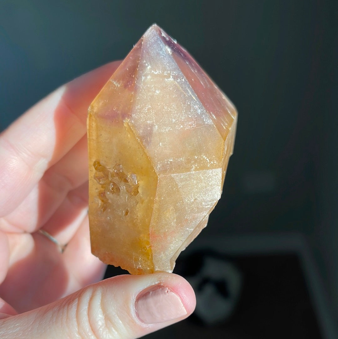 Dreamcoat Lemurian