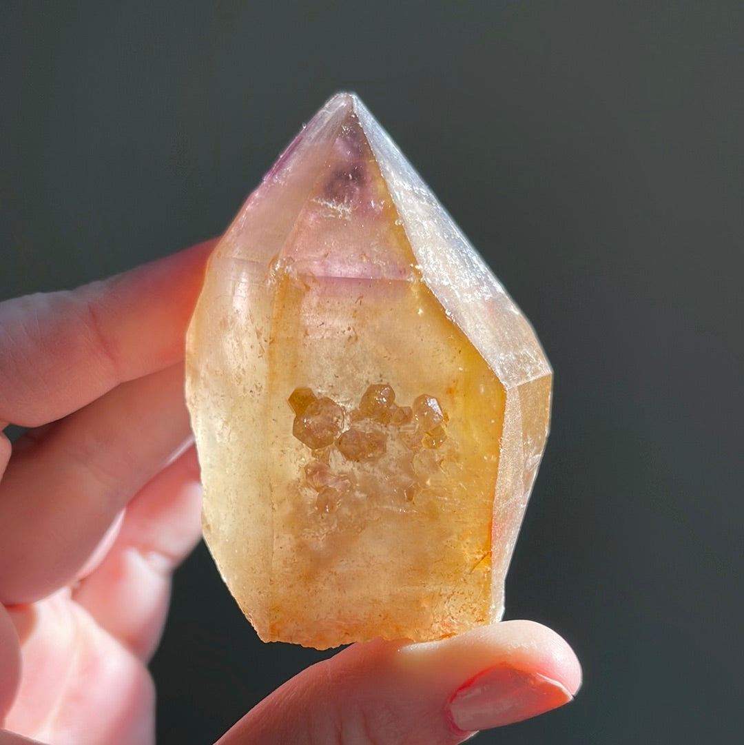 Dreamcoat Lemurian