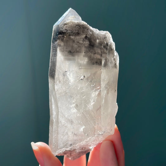 Black Phantom Lemurian