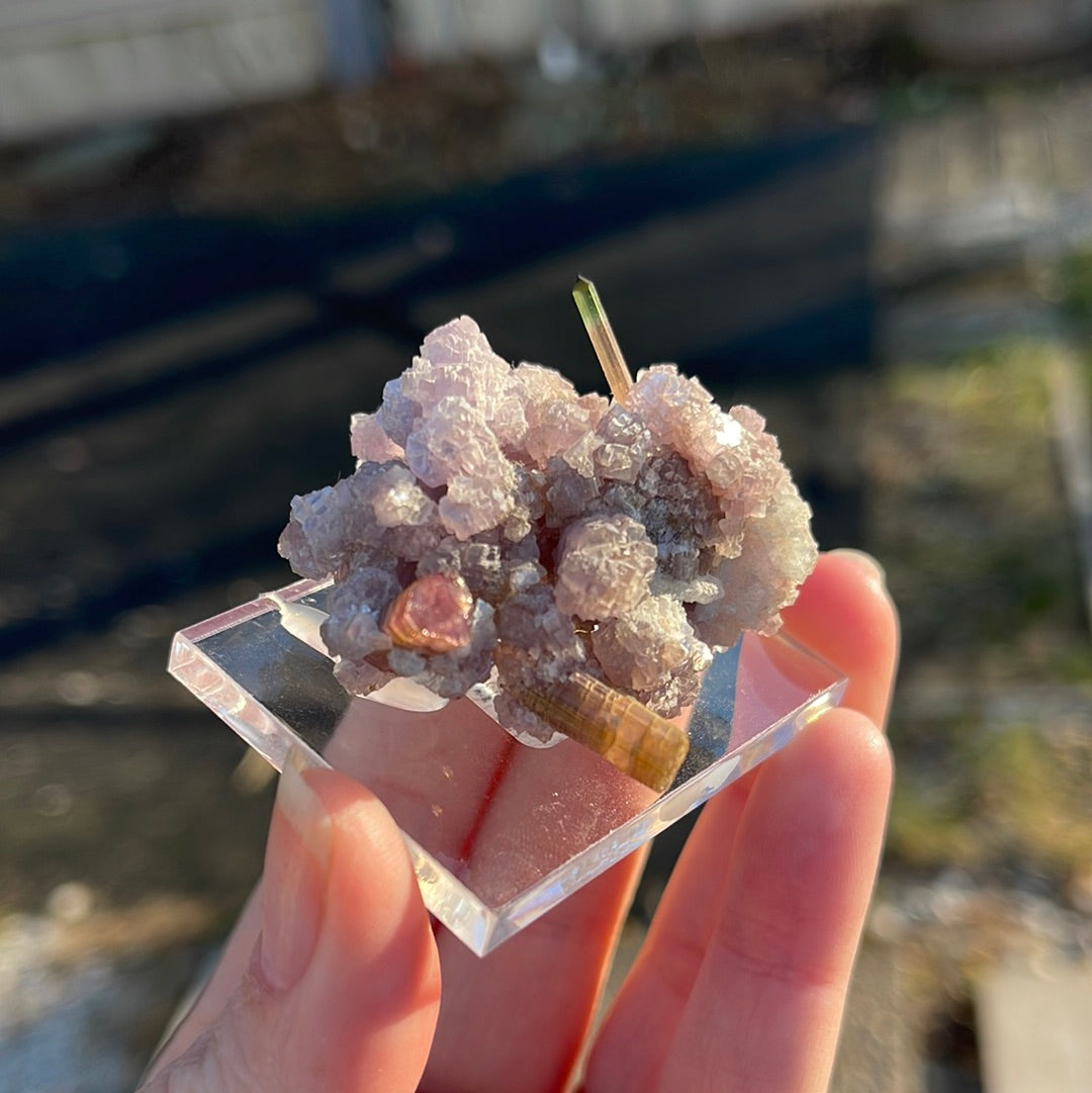 Tourmaline with lepidolite